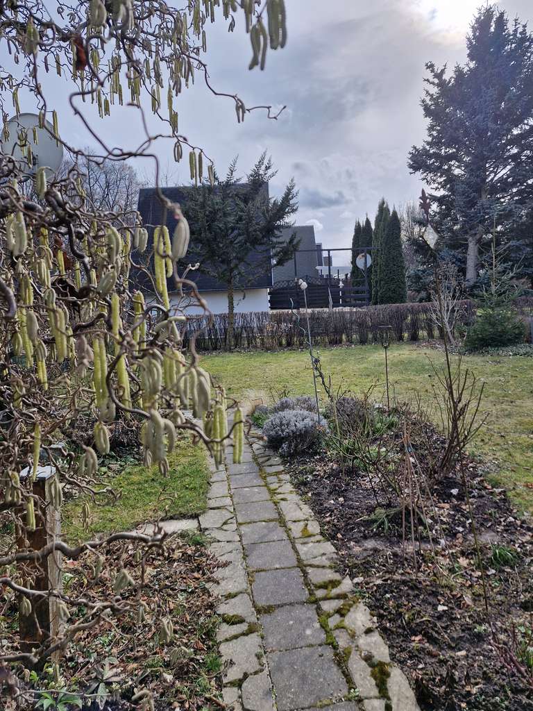 Immobilie in Lohsa - Łaz - Gartengrundstück mit Finnhütte von Privat zu verkaufen - Bild 1