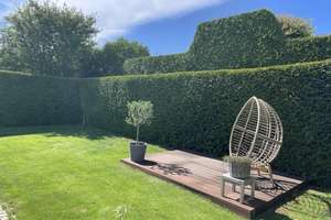 Helle Gartenwohnung mit sonniger Terrasse in guter Wohnlage – 53881 Euskirchen – Vorschaubild 9