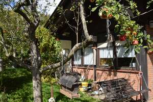 Einfamilienhaus mit 4 Zimmern und toller Fernsicht in Schotten – Schöne Aussicht 4, 63679 Schotten – Vorschaubild 5