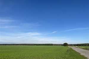 Arzberg * ruhig gelegenes EFH mit großem Grundstück* offene Küche* 4 Zimmer* Kaminanschluß vorhanden – Nordsachsen (Kreis) – Vorschaubild 19