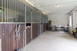 repräsentatives Landhaus mit Parkgrundstück, Pferdestall und Scheune in schöner Alleinlage – Die vollständige Adresse der Immobilie erhältst du vom Anbieter., 24601 Stolpe – Vorschaubild 26