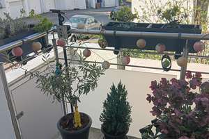 Property thumbnail 5