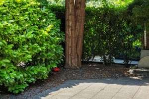 Alles auf einer Ebene in Junkersdorf: 3 Zimmer, Aufzug bis zur Tiefgarage, geschützte Terrasse – Die vollständige Adresse der Immobilie erhältst du vom Anbieter., 50858 Junkersdorf, Köln – Vorschaubild 20