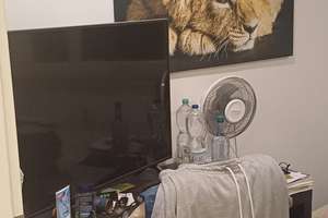 Sicheres Investieren durch nachhaltige Vermietbarkeit - Gepflegte 4-Zimmerwohnung mit EBK und Balkon – Quiddestrasse 72, 81753 Neuperlach, München – Vorschaubild 4