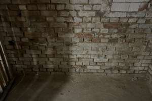 Praktische 2-Zimmer-Wohnung im Paulusviertel – Fritz-Reuter-Str. 6, 6114 Paulusviertel, Halle (Saale) – Vorschaubild 14