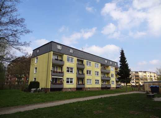 Single wohnung in rendsburg