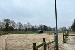 !! Einmalige Chance !!
Modernisierter Resthof mit viel Potenzial und ideal zur Pferdehaltung auf 14 – Emsland (Kreis) – Vorschaubild 11