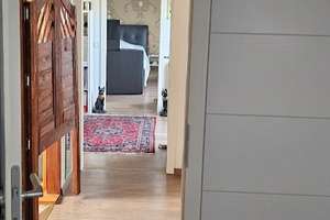 Charmante 5-Zimmer Maisonette-Wohnung im 2. OG in Essen-Burgaltendorf – Die vollständige Adresse der Immobilie erhältst du vom Anbieter., 45289 Burgaltendorf, Essen – Vorschaubild 17