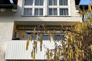 Sehr gepflegtes Mehrfamilienhaus in TOP Lage von Erding mit großem Garten – Erding (Kreis) – Vorschaubild 3