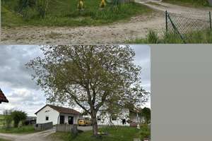 Einfamilienhaus / Bungalow in einmalig ruhiger Lage am Ortsrand von 85777 Kammerberg – Münchner Straße 39, 85777 Fahrenzhausen – Vorschaubild 3