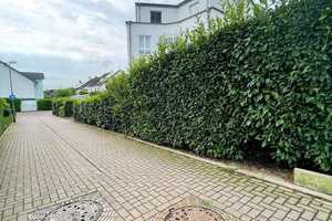 Property thumbnail 27