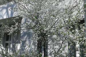 Lichtdurchflutete, vollausgestattete ETW mit 4 Schlafzimmern – Scheiblerstr. -, 12437 Baumschulenweg, Berlin – Vorschaubild 10