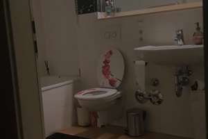 Traumhafte 2,5-Zimmer-Maisonette-Wohnung in Wiesbaden zu vermieten – 65195 Westend / Bleichstraße, Wiesbaden – Vorschaubild 13