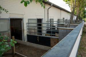 Moderne Reitanlage mit Wohnhaus – Toplage im Rhein-Main-Gebiet – Die vollständige Adresse der Immobilie erhältst du vom Anbieter., 55271 Stadecken-Elsheim – Vorschaubild 23
