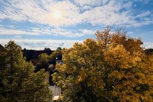 Property thumbnail 24