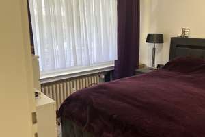 Property thumbnail 8