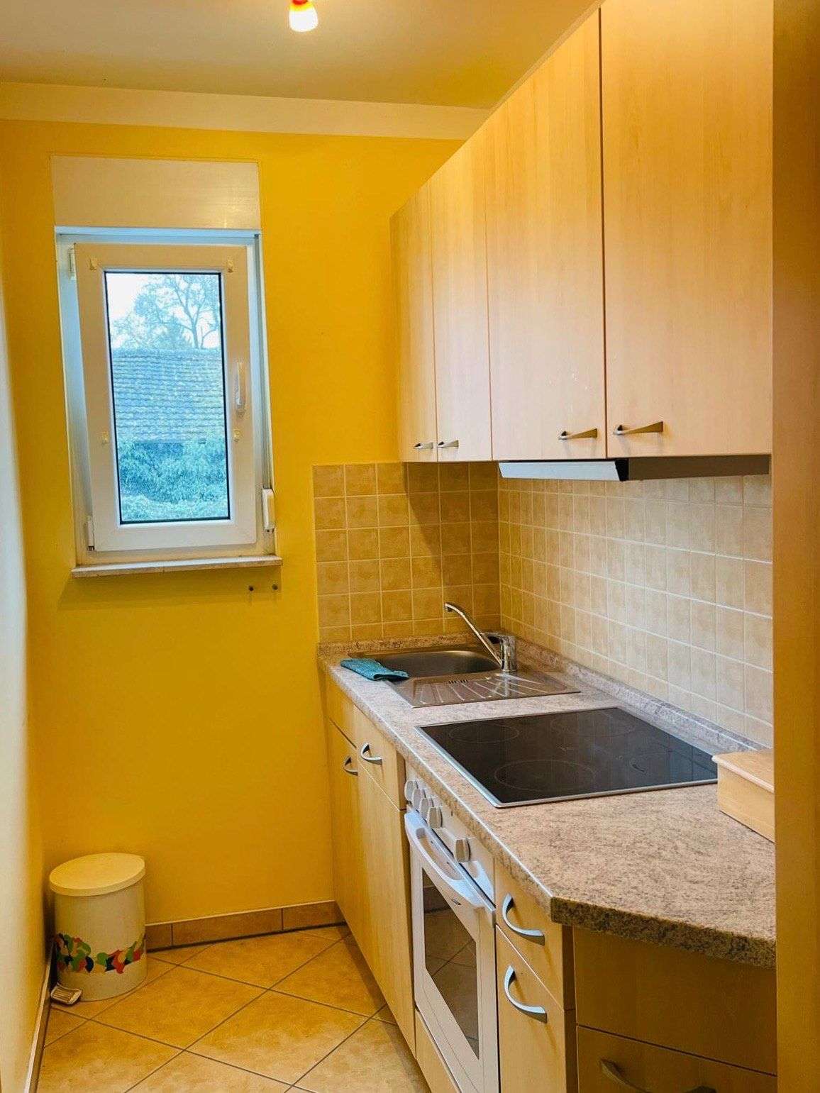 Immobilie in Drehnow - 5-Zimmer-Einfamilienhaus in Peitz - Bild 5