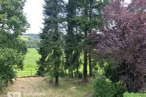 Asbach - Traumhaus mit viel Platz und idyllischem Grundstück
 – Die vollständige Adresse der Immobilie erhältst du vom Anbieter., 53567 Asbach – Vorschaubild 5