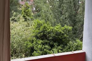 Helle 3-Zimmer-Wohnung mit Balkon in Essen-Frohnhausen – ab 01.08. verfügbar. Küche ist verkauft. – Osnabrücker Straße 12, 45145 Frohnhausen, Essen – Vorschaubild 12
