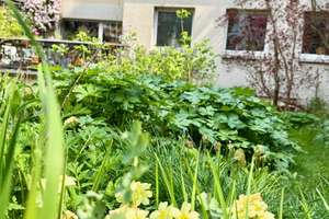 Ruhe Oase * Erdgeschosswohnung im Südviertel * ruhig gelegen *  große Terrasse zur Gartenseite * – Die vollständige Adresse der Immobilie erhältst du vom Anbieter., 45128 Südviertel, Essen – Vorschaubild 11