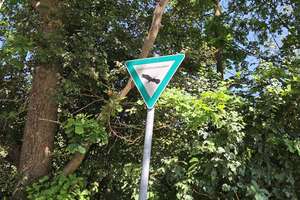 ** WOHNLAGE der EXTRAKLASSE ** idyllisch am Waldrand gelegenes großzügiges RMH direkt zum Bezug ** – Die vollständige Adresse der Immobilie erhältst du vom Anbieter., 90455 Kornburg, Worzeldorf, Nürnberg – Vorschaubild 25
