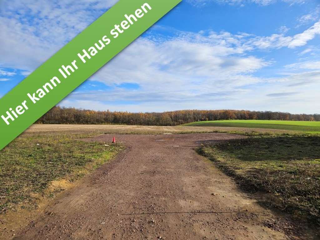 Immobilie in Harbke - Inkl. Grundstück, ein Haus mit Charme in Harbke. - Bild 0