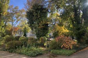 Property thumbnail 14