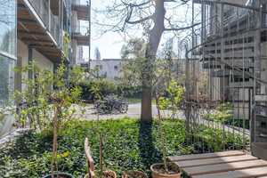 Sonnige 2-Zimmer-Altbauwohnung mit Terrasse im idyllischen Mitte-Kiez – Berlin – Vorschaubild 8