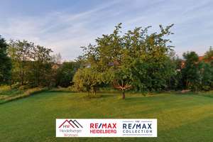 Dreifamilienhaus in Dielheim – 298m² + Garten, Garage und Nebengebäude - XL Grundstück 2.085m² – Neuwiesenweg 8, 69234 Dielheim – Vorschaubild 28