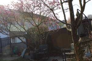 Generationswohnen : Reihenendhaus mit 2 Wohnungen, großem Garten und 2 Garagen – Die vollständige Adresse der Immobilie erhältst du vom Anbieter., 33605 Stieghorst, Bielefeld – Vorschaubild 9