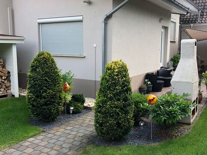 Singlewohnung alzey