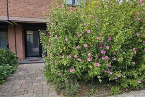 Modernisiertes Reihenendhaus in Kaarst zu vermieten – 41564 Kaarst – Vorschaubild 17