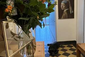 Traumhaftes, kernsaniertes und denkmalgeschütztes Haus in Alleinlage am Niederrhein! – Bienenstraße 5, 47551 Bedburg-Hau – Vorschaubild 21