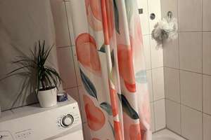 Süße Studentenwohnung im inneren Westen  – Herrichstraße 23, 93049 Westenviertel, Regensburg – Vorschaubild 8