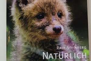 Property thumbnail 13