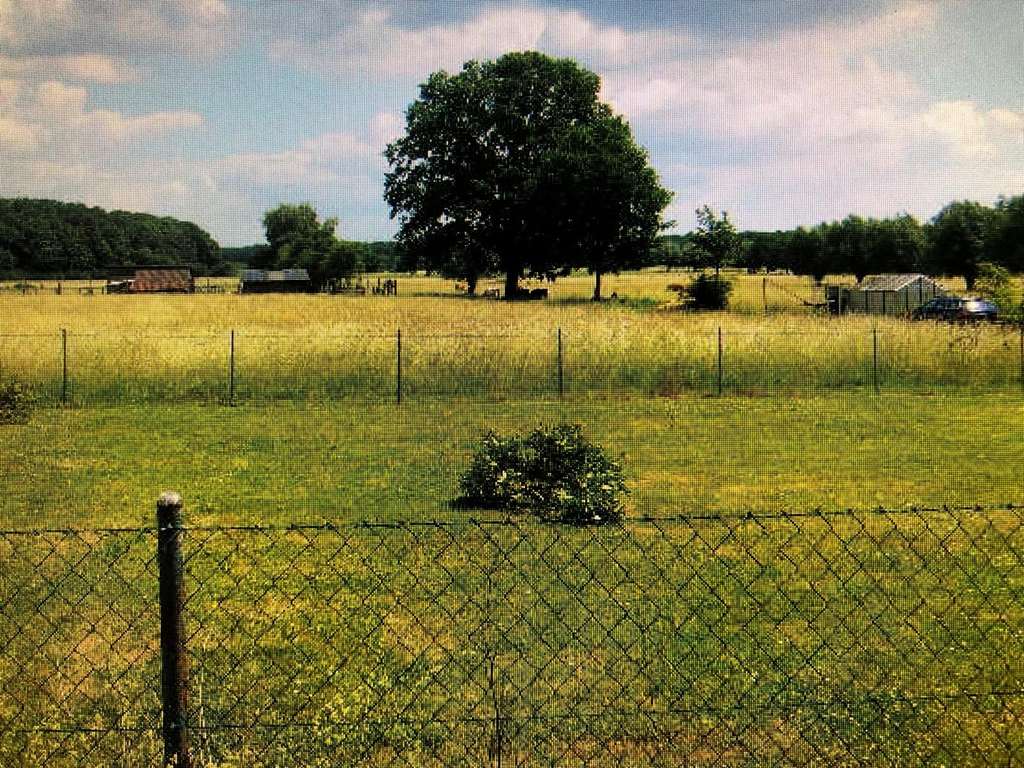 Immobilie in Niedernwöhren - Großzügiges Zweifamilienhaus mit großem Grundstück und Ausbaureserve in Niedernwöhren - Bild 4