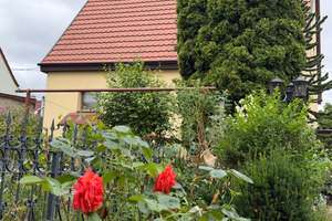 WOHLFÜHLEN -  ZUHAUSE SEIN - FAMILIEN MIT KINDERN SEHR ERWÜNSCHT – Die vollständige Adresse der Immobilie erhältst du vom Anbieter., 99195 Stotternheim, Erfurt – Vorschaubild 9