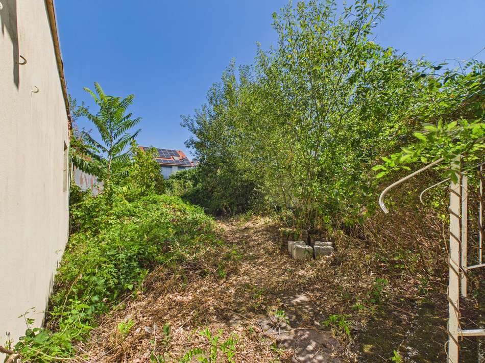 50 Garten