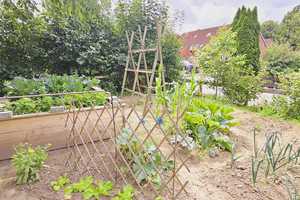 Gepflegtes Einfamilienhaus mit viel Platz und liebevoll angelegtem Nutzgarten in beliebter Wohnlage – Ostholstein (Kreis) – Vorschaubild 23