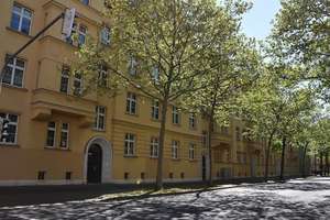 Sanierte 3 Raumwohnung mit Dusche im Erdgeschoss! – Theresienstr. 56, 4129 Eutritzsch, Leipzig – Vorschaubild 1