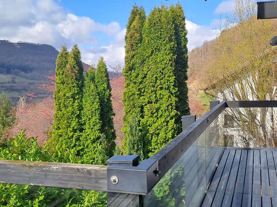 Blick Balkon EG Bild 3