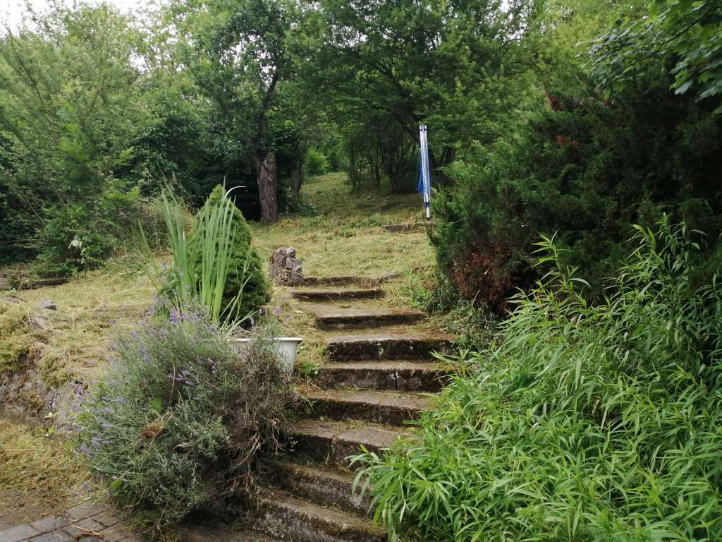 Immobilie in Krautheim - Großes Einfamilienhaus mit zwei Scheunen/Garagen und viel Platz – sofort bezugsfrei! - Bild 4