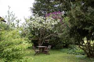 Großzügiges Wohlfühl-Haus mit wunderschönem Gartenidyll in Probstried – Oberallgäu (Kreis) – Vorschaubild 43