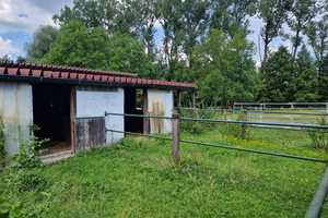 Provisionsfreies, idyllisch gelegenes Anwesen in Alleinlage mit großzügigem Grundstück – Unterallgäu (Kreis) – Vorschaubild 19