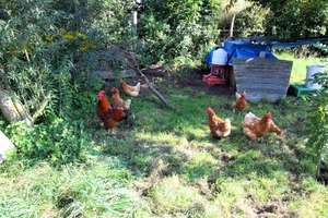 Property thumbnail 8