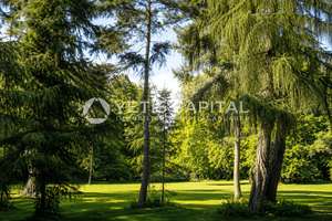 SELTENE LAGE AN DER UNI KLINIK MIT GARTEN IM JAPANISCHEN STIL UND SONNENTERRASSE +PROVISIONSFREI+ – Die vollständige Adresse der Immobilie erhältst du vom Anbieter., 50931 Lindenthal (Ortsteil), Köln – Vorschaubild 7