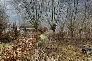 Auf über 4,5 ha Grundstück! Denkmalgeschützter Gulfhof in Randlage! – Leer (Kreis) – Vorschaubild 5