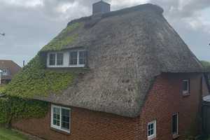 Halbinsel Nordstrand - Romantisches Reetdachhaus direkt am Deich: IHR NEUES FERIENHAUS ! – Nordfriesland (Kreis) – Vorschaubild 5