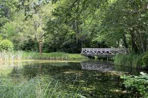 Idyllisch gelegenes Einfamilienhaus als Wohn- oder Ferienhaus – Dahme-Spreewald (Kreis) – Vorschaubild 14