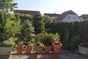 Niedrigenergiehaus als Reihenmittelhaus in Sassnitz – Rügen (Kreis) – Vorschaubild 20